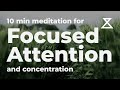 10 Minute Guided Meditation for Focused Attention and Concentration (No Music, Voice Only)