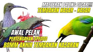 LIVE MATERI MEWAH BERKELAS!! DIBAWAKAN MURAI BISA SEREM - CUNGKOK TEMBAKAN - TEMBAKAN SADISS
