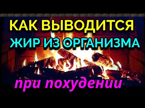 Как выводится жир из организма при похудении. Подкаст / Как я похудела на 94 кг и укрепила здоровье