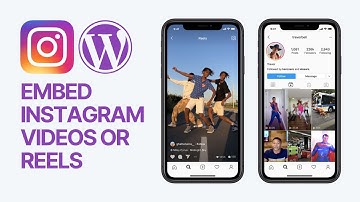 How To Embed Instagram Videos or Reels In WordPress Websites Without Plugins? 🎞