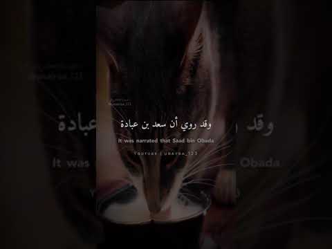 سقي الماء من أفضل الصدقات 