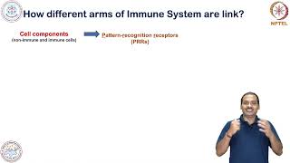 An Introduction of Immune system-link between innate and adaptive immunity