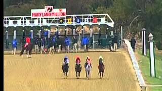Laurel 10/17/2015 Race 1 - Maryland Million Distaff