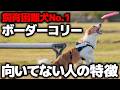 【要注意】ボーダーコリーを飼いたい方へ|現役飼い主が向いている人・向いていない人を本音で話します