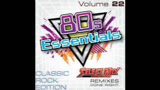 Bruce Springsteen - hungry Heart (Select Mix Remix)