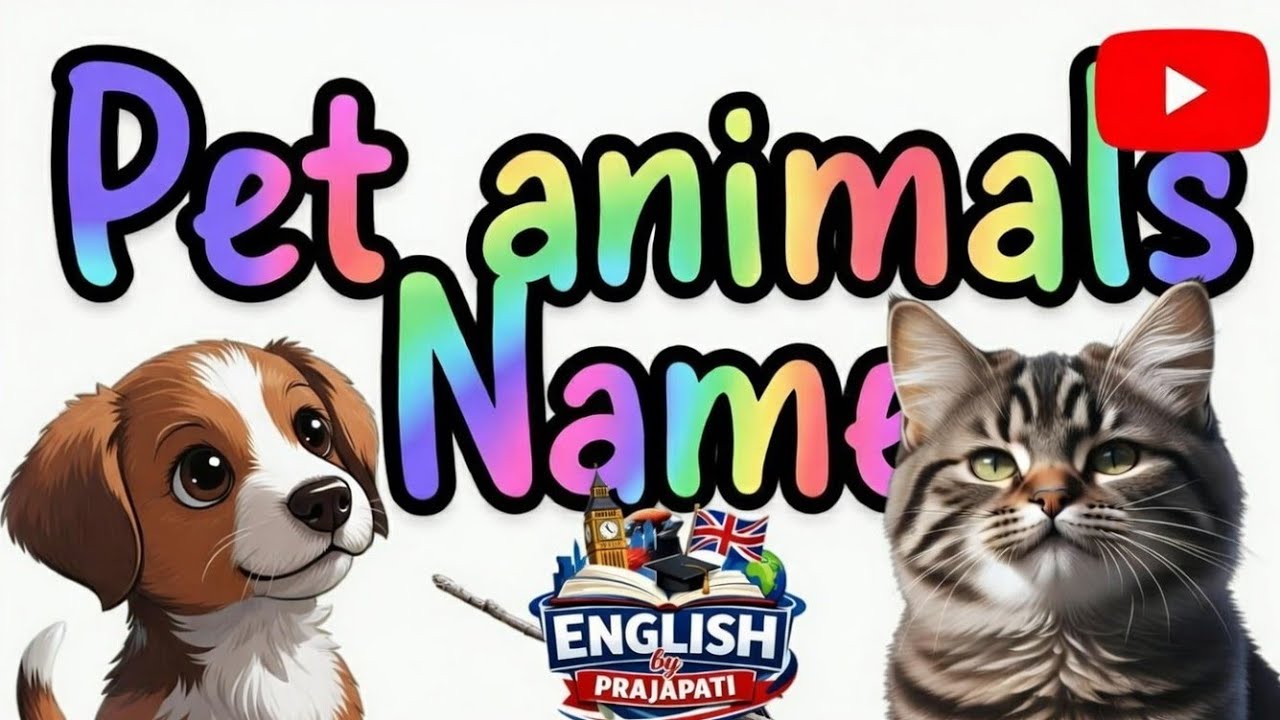 Pet animals name | Animals name |जानवरों के नाम #animals #petanimals #Animalnames #एनिमल्स 