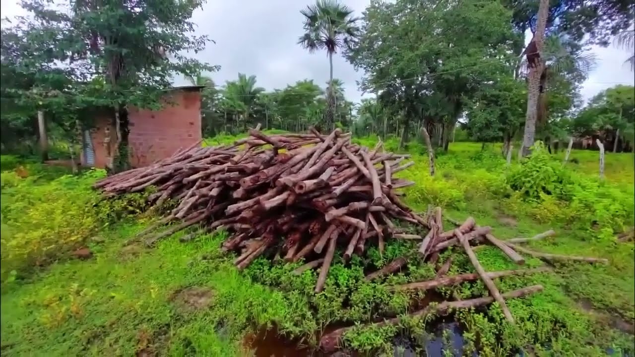 VENDE SE ESTA PROPRIEDADE DE 20 HECTARE RICA EM AGUA ENTRE BATALHA E ESPERANTINA PI