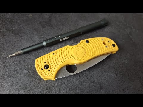 Spyderco Native 5 Salt Disassembly And Maintenance