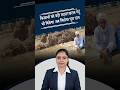 बारिश से खराब गेहूं भी खरीदेगी सरकार! किसानों को बड़ी राहत, MSP पर मिलेगा पूरा दाम ! #letestnews