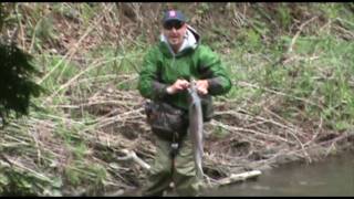 FearFishing.com Films Ganaraska Steelhead Action