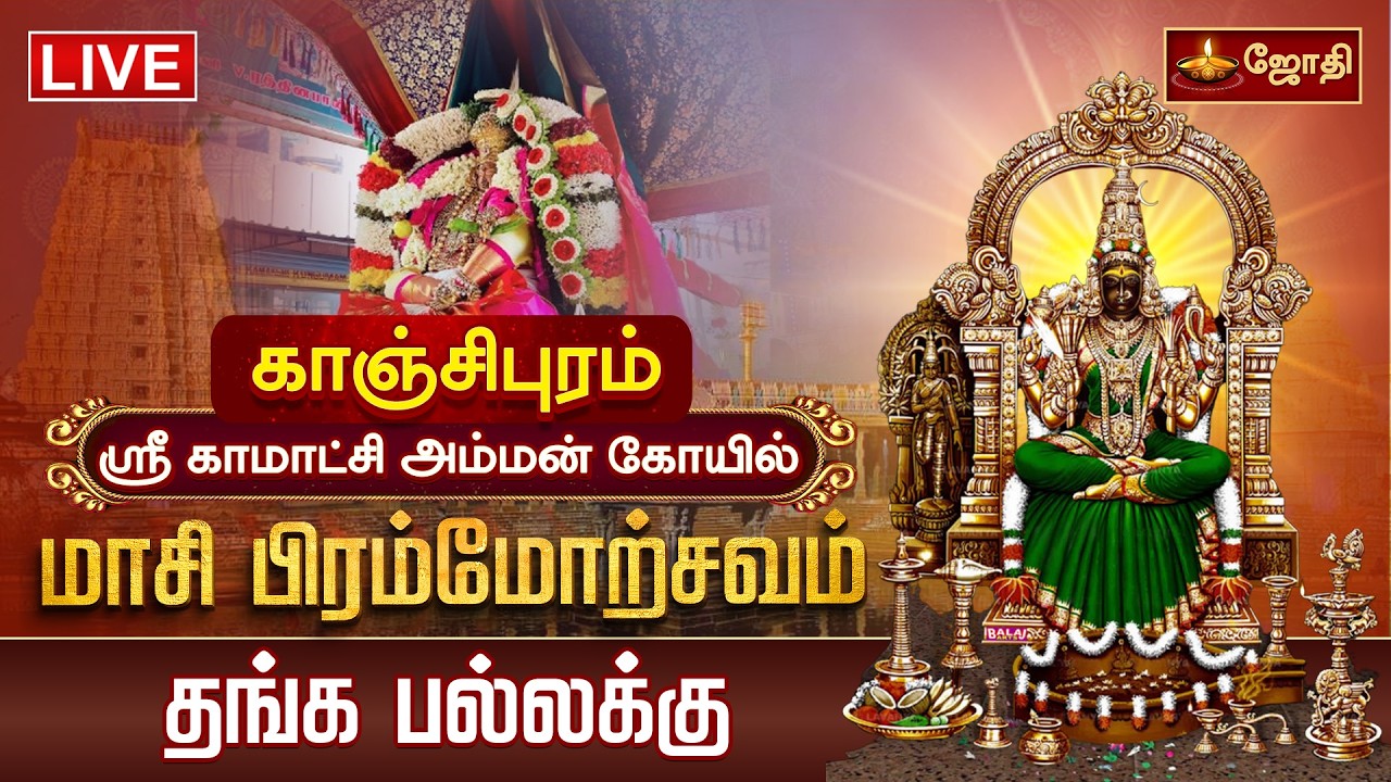 🔴LIVE: காஞ்சி ஸ்ரீ காமாட்சி அம்மன் கோயில் மாசி பிரம்மோற்சவம்  தங்க பல்லக்கு | Kanchipuram | JothiTv