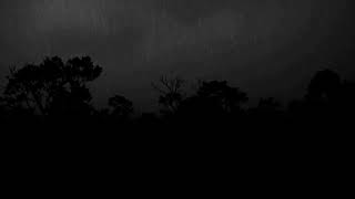 Sleep with Gentle Thunder and Rainfall | Black Screen Therapy – Rain and Medicine