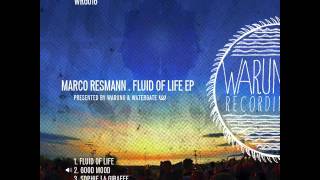 Good Mood - Fluid Of Life EP - Marco Resmann (WRG016)