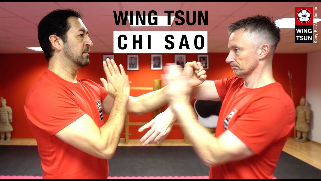 Wing Chun Chi Sao Training | Section