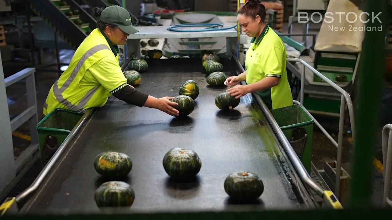 Join our Packhouse Team!