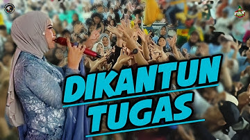 MEDLEY. DIKANTUN TUGA. FILY KURCACI. 