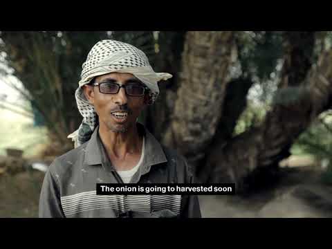 استصلاح الأراضي الزراعية مشروع المساعدات الغذائية مقابل تنمية الأصول