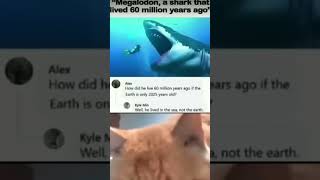 Cat meme