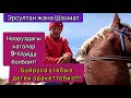 Эрсултан: Нооруздагы каталар 9-майда кайталанбайт!