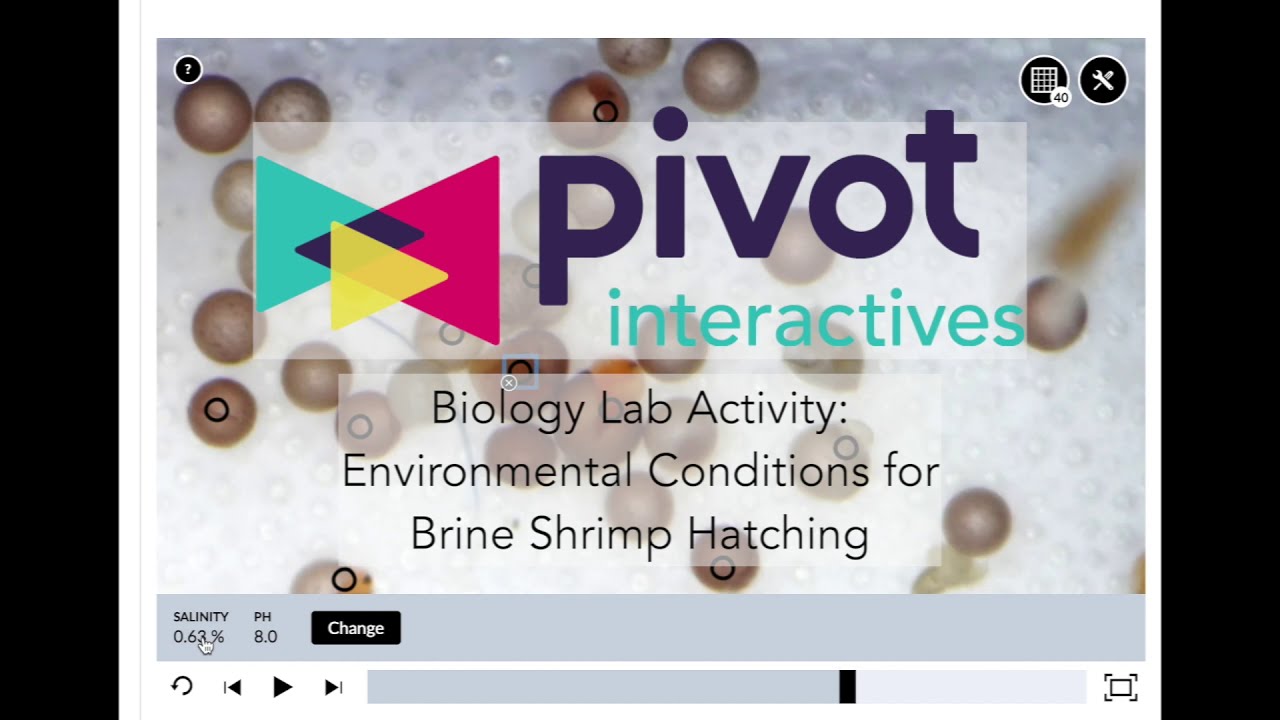 Pivot Interactives Biology Lab Brine Shrimp Hatch Rates Youtube