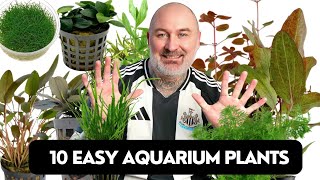 My TOP 10 Easy AQUARIUM PLANTS | NO CO2 Required