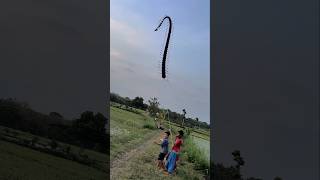 Little Dragon Kite Jockey kites dragonkites viraldragonkites kingdragonkites brokenkite