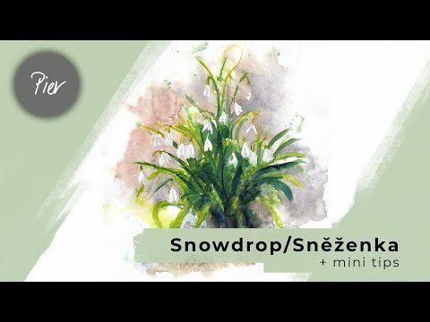 Watercolor session - Snowdrop/Sněženka + tiny tips