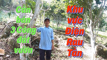 Cần bán - 3 Công đất Vườn - Khu vực Rau Tần - Núi Cấm LH : 0948565696 Hải NC