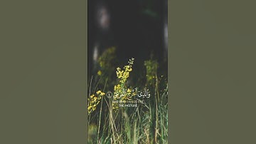 سبح اسم ربك الأعلى|سورة الأعلى|عبد الرحمن مسعد|