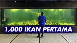 #59 AKHIRNYA ISI IKAN !!!  MEGATANK 100TON