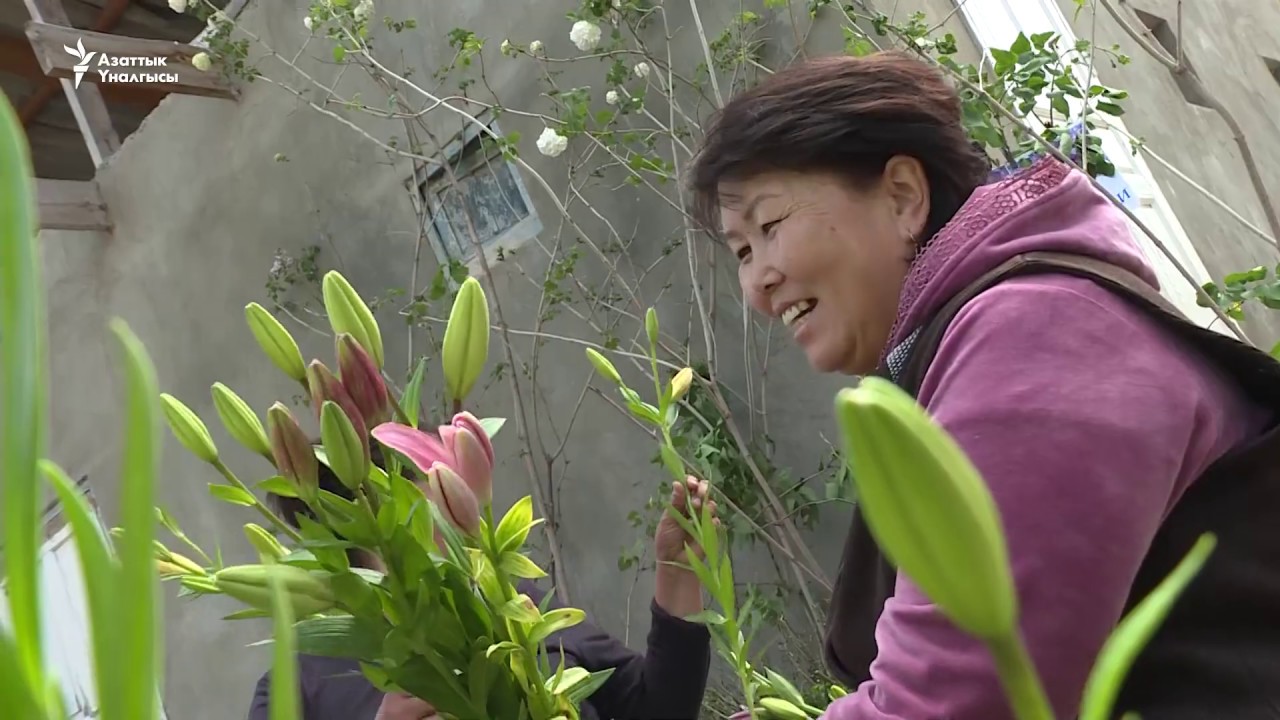 "Гүлдөр адамдын мээримин сезет"