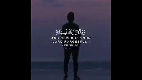 تلاوة رائعةللقارئ / مؤيد المزين