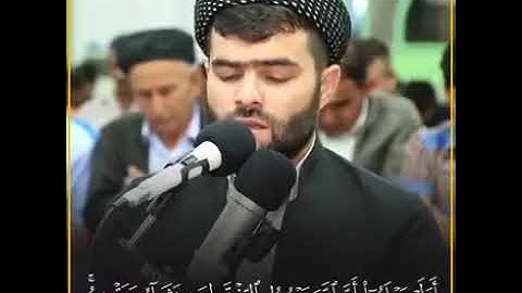 تلاوه من سورة الزمر .| القارئ بيشه قادر الكردي