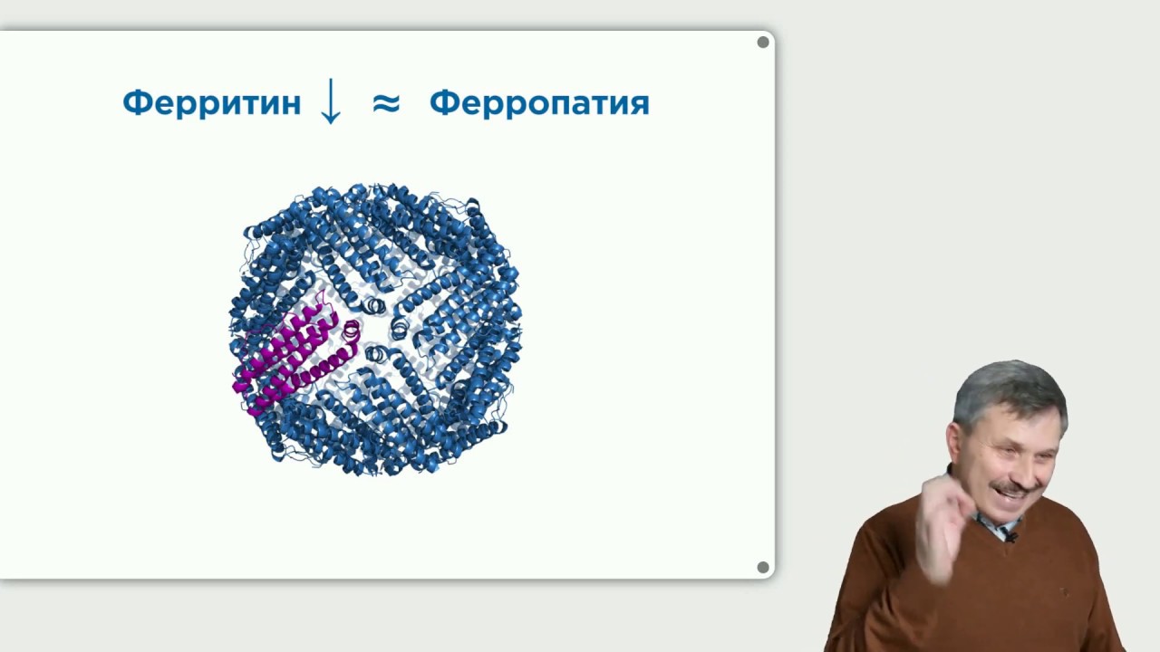 Видеоинфографика. Ферропатия. Вдовиченко В. П.