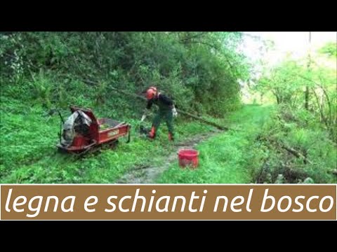 Video: Come Aggiornare Il Suono 