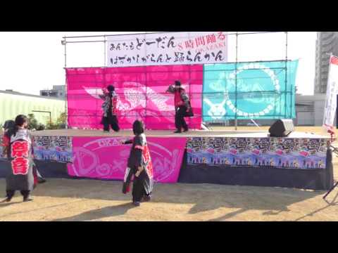 「熊野ハレヤ音頭」あんたもどーだんはずかしがらんと踊らん会2016