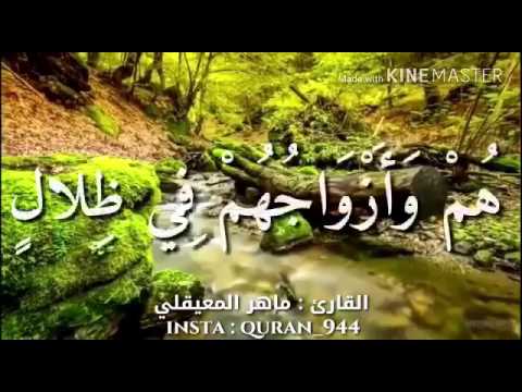 إن أصحاب الجنة اليوم في شغل فاكهون ماهر المعيقلي Youtube