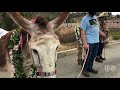 Chabad Centers of San Diego host a drive-through circus