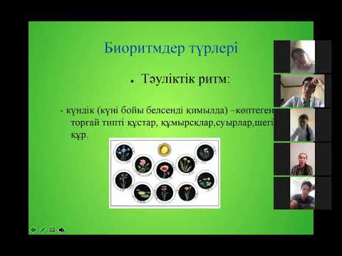 Бейне: Ағзаларды атау үшін қолданылатын қазіргі әмбебап атау жүйесі қандай?