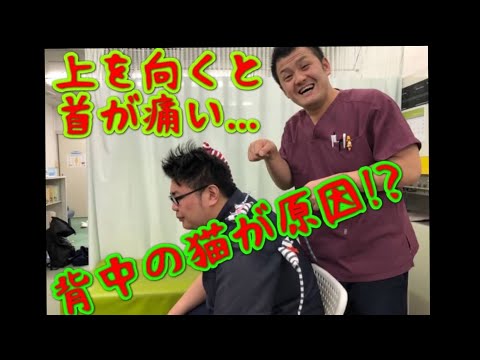 上を向くと首が痛い‼️原因は猫背🙀