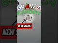 New Secret Before Update 😮.