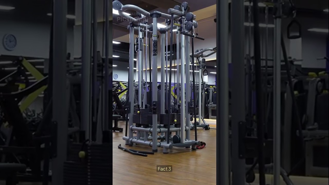 Day 5  Recovery and Reset 💪 