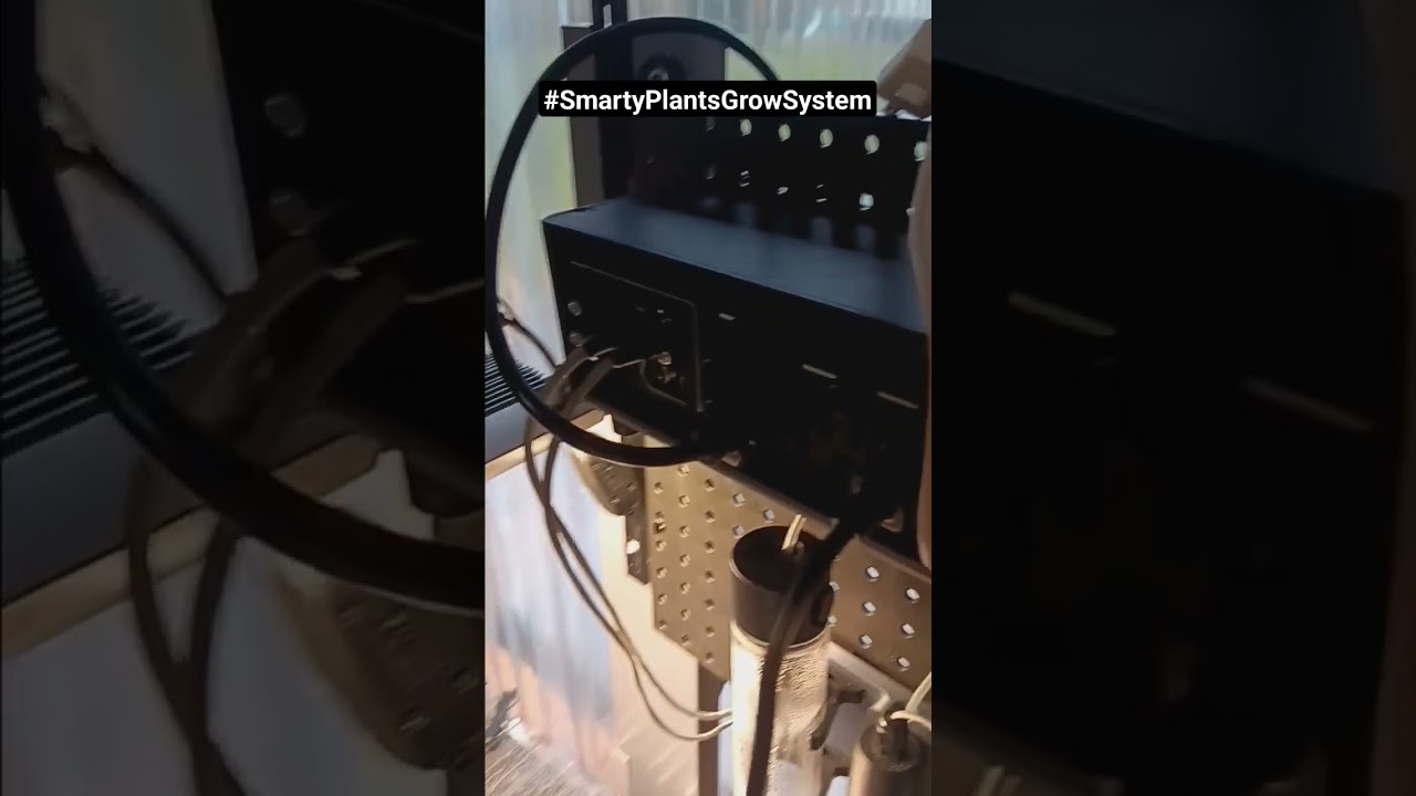 #SmartyPlantsGrowSystem