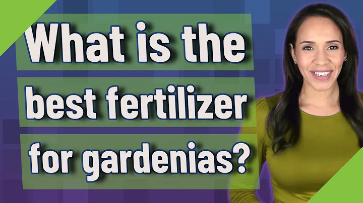 What is the best fertilizer for gardenias? - DayDayNews