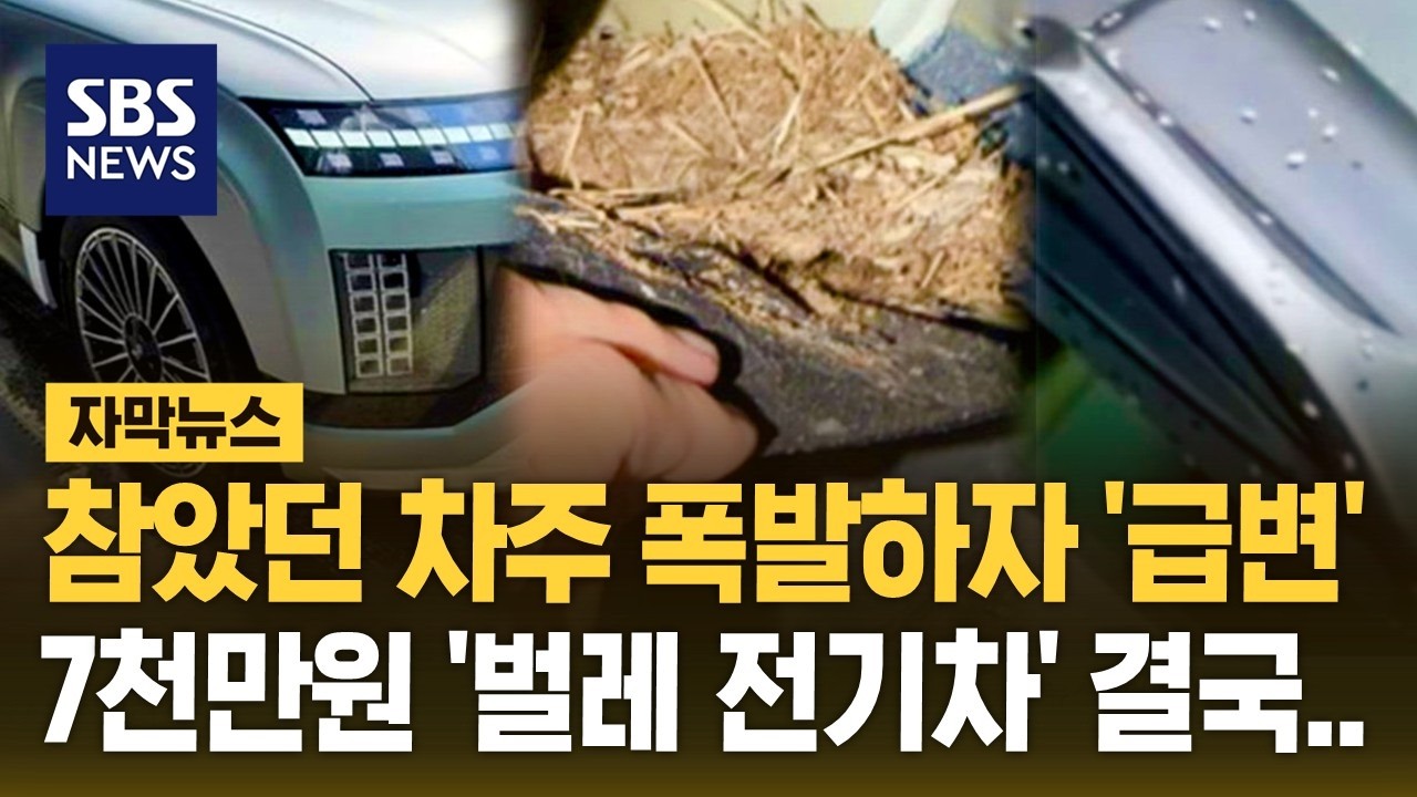 YouTube 영상 썸네일