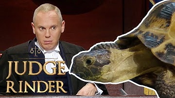 "You Put Your Tortoise in the Washing Machine?!" Judge is Shocked By Destructive Pet | Judge Rinder