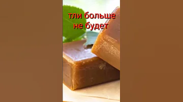 КАК ИЗБАВИТЬСЯ ОТ ТЛИ И 🐜 МУРАВЬЕВ БЕЗ ХИМИКАТОВ ?