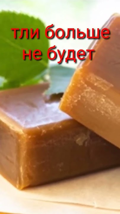 КАК ИЗБАВИТЬСЯ ОТ ТЛИ И 🐜 МУРАВЬЕВ БЕЗ ХИМИКАТОВ ? - YouTube