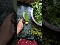 now everyday I ll reveal something new... #diet #food #juice #ownvoicevideo #healthdrink