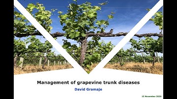 Management of Grapevine Trunk Diseases | David Gramaje | Dec 2020